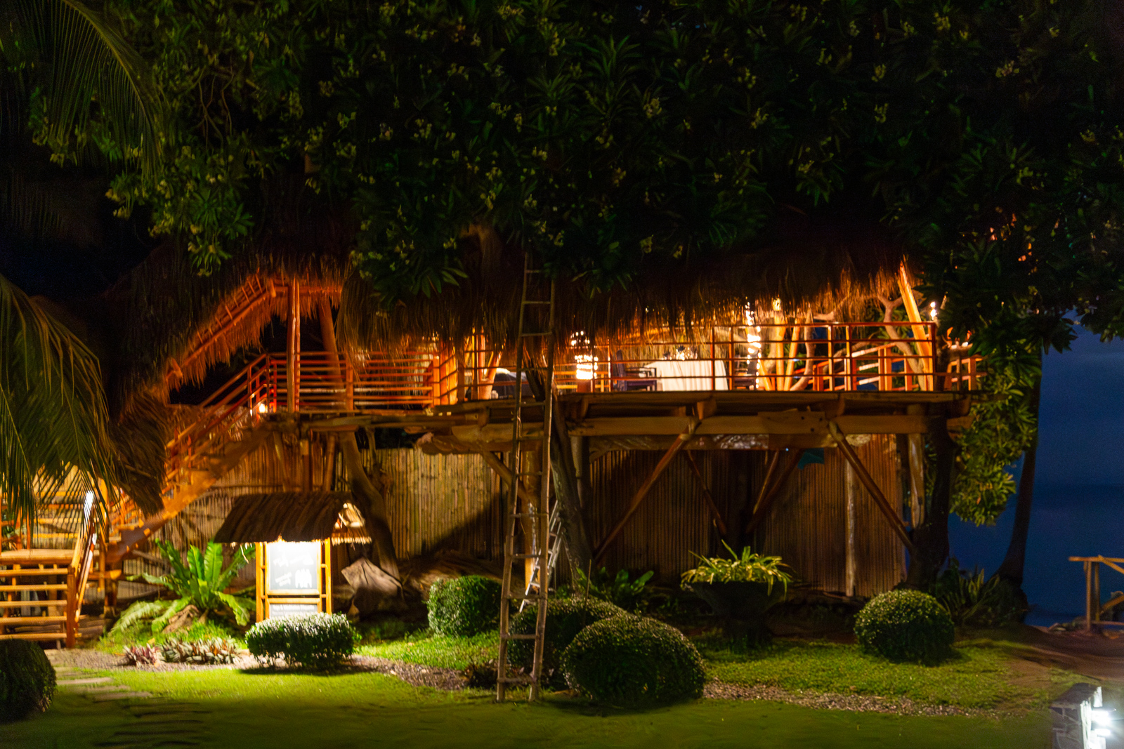 Dinner in the Treehouse