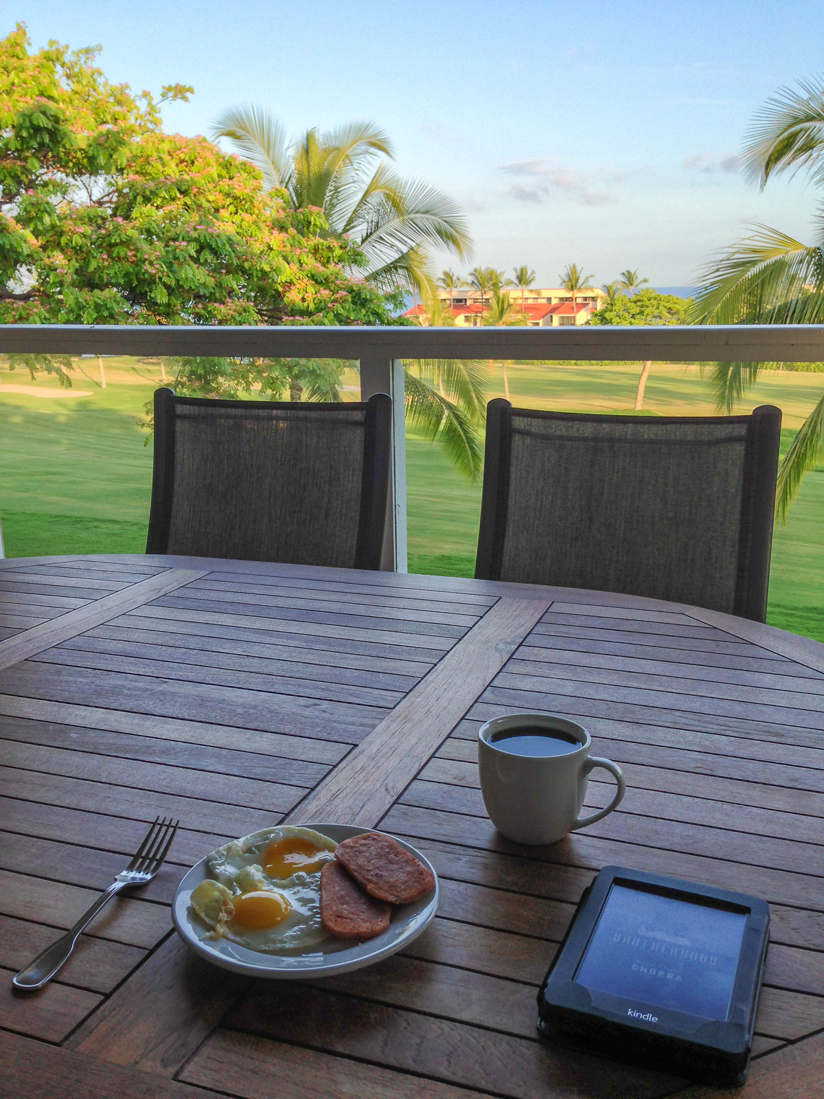 Spam and Eggs for breakfast