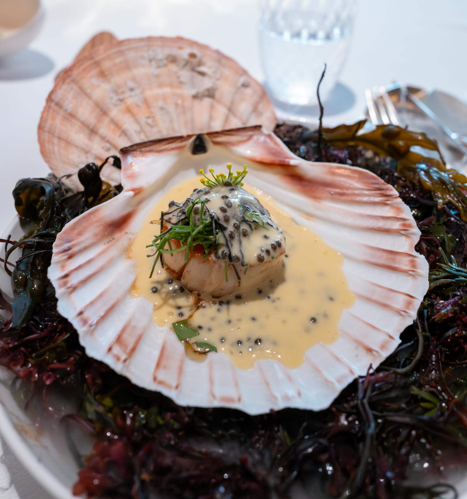 Alain Ducasse at The Dorchester